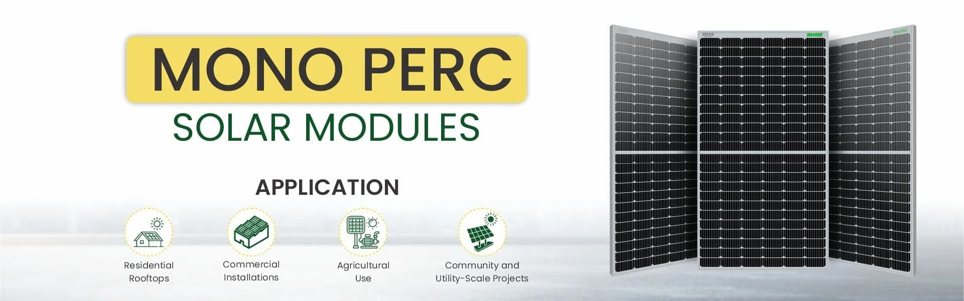 Mono PERC Solar Modules